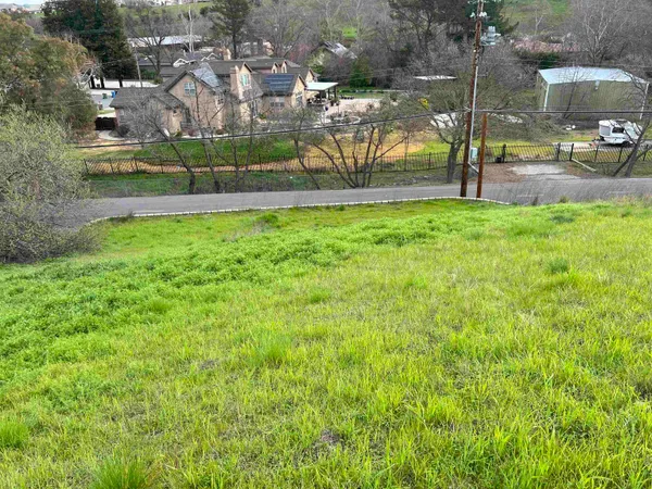 a view of a green field with lots of bushes