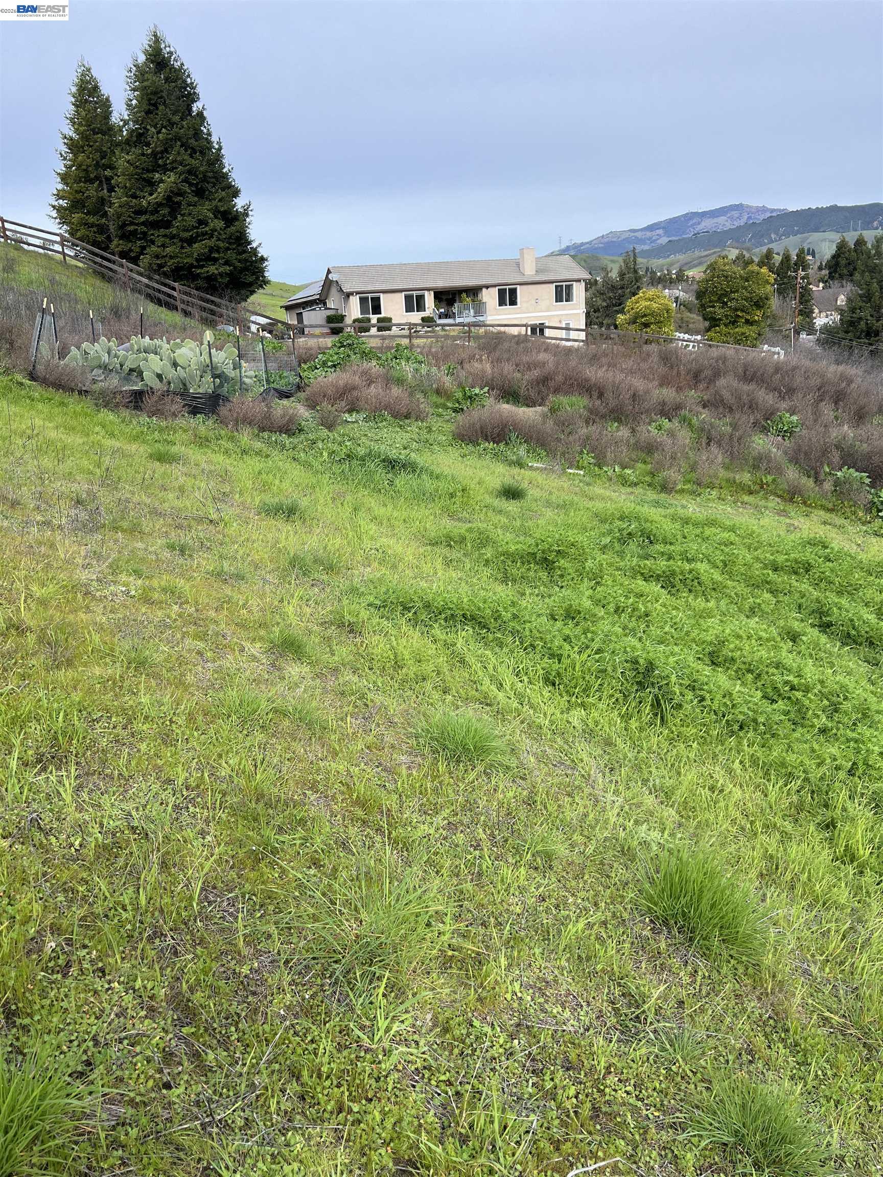 1388 Lawrence Road Danville, CA 94506 - Photo 10 of 11 a view of a field with an trees