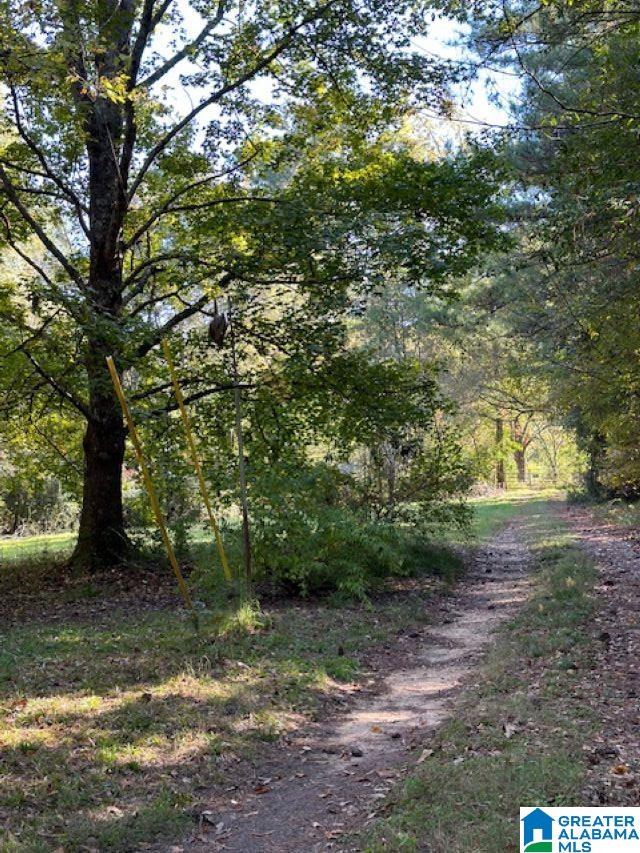 121 Ball Park Road Oneonta, AL 35121 - Photo 31 of 31 Gallery Image 31