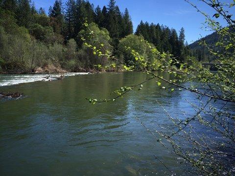 2091 Fish Hatchery Road Grants Pass, OR 97527 - Photo 3 of 30 Additional Photo