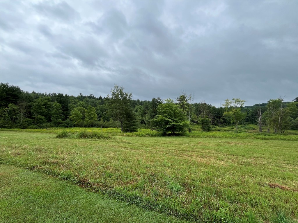 112 Bettsburgh Road Nineveh, NY 13813 - Photo 3 of 13 Gallery Image 3