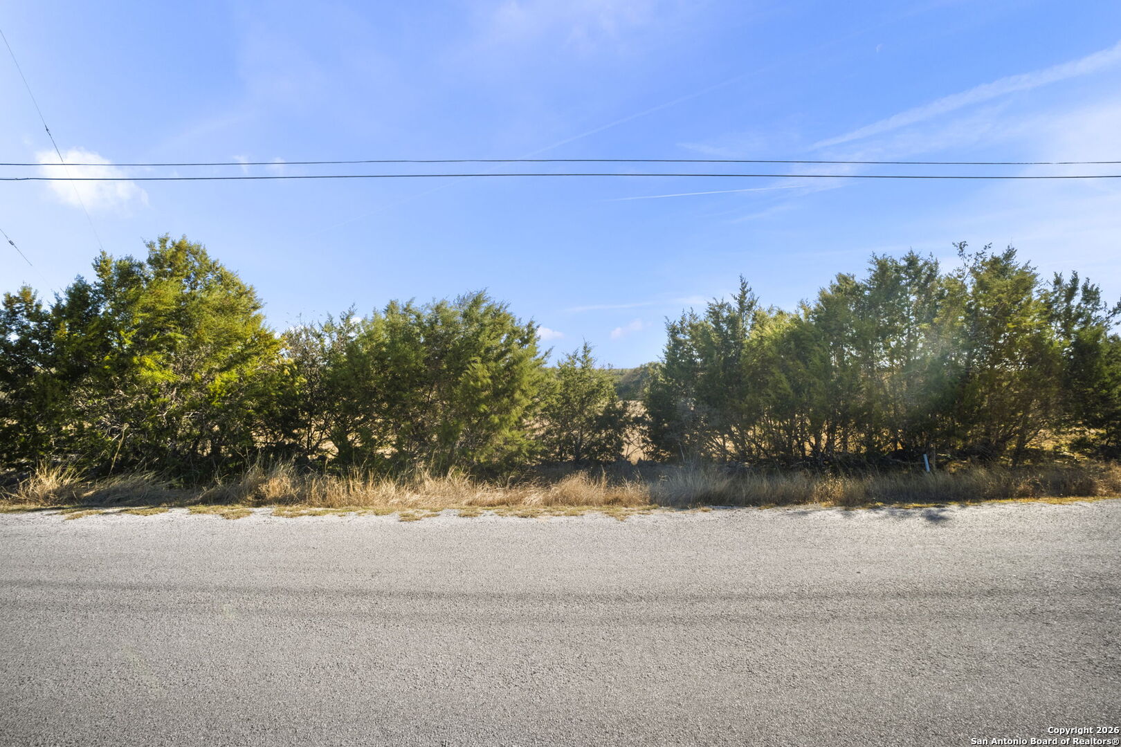 418 George Dolson Blanco, TX 78606 - Photo 3 of 14 a view of a yard
