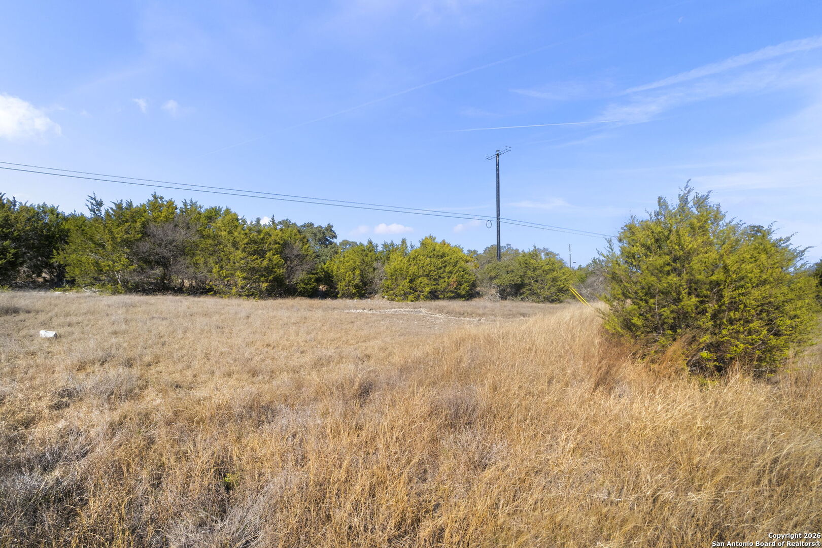 418 George Dolson Blanco, TX 78606 - Photo 5 of 14 a view of a yard