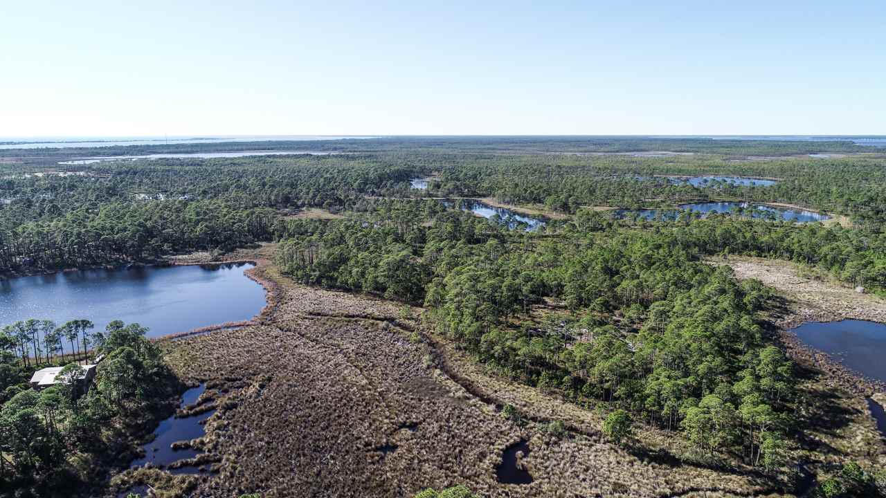 2 Grouper Street Alligator Point, FL 32346 - Photo 3 of 35