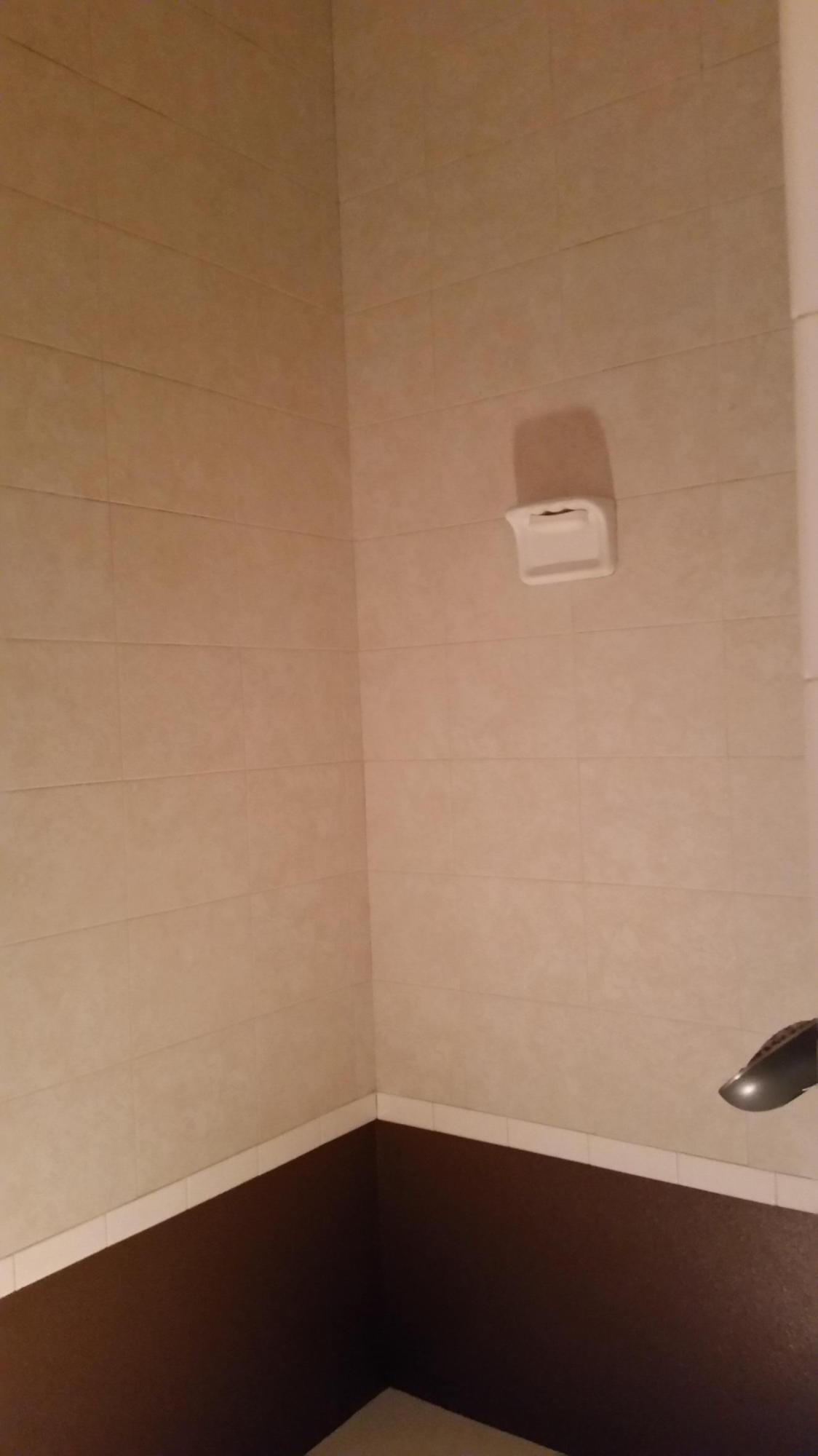 306 Steele Church Road DeFuniak Springs, FL 32435 - Photo 22 of 47 Master shower