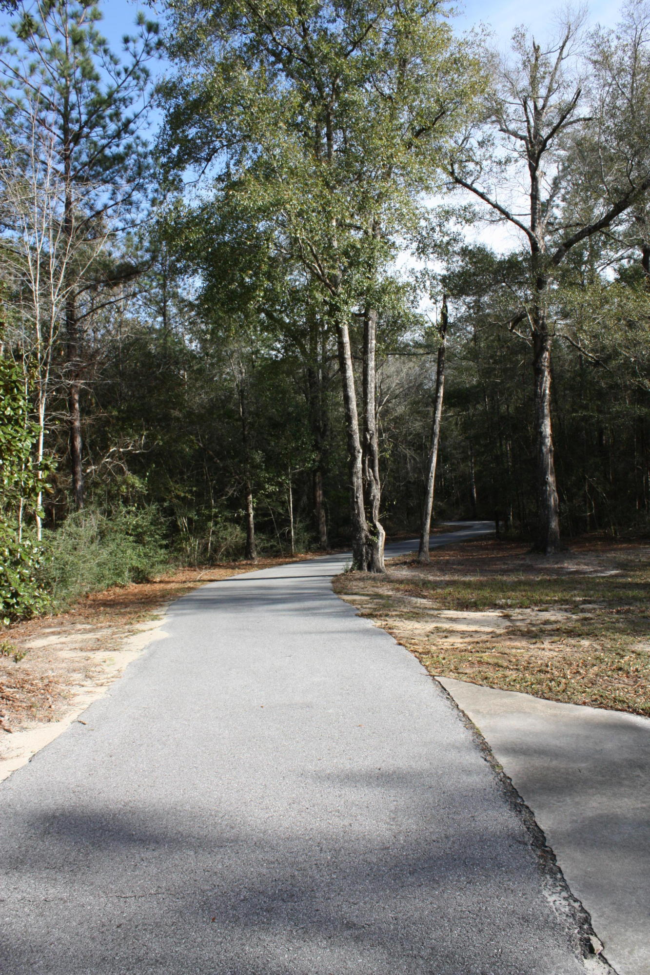 306 Steele Church Road DeFuniak Springs, FL 32435 - Photo 3 of 47 Winding private driveway
