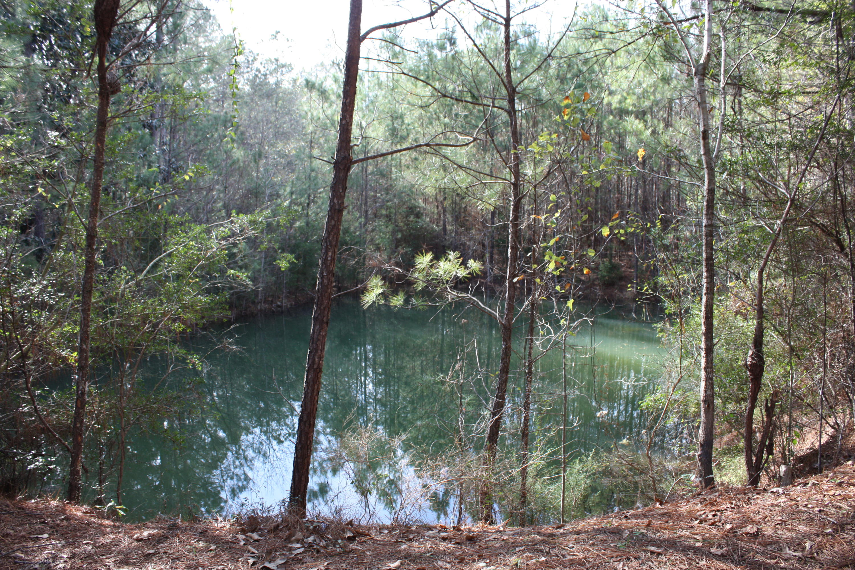 306 Steele Church Road DeFuniak Springs, FL 32435 - Photo 46 of 47 Spring fed pond