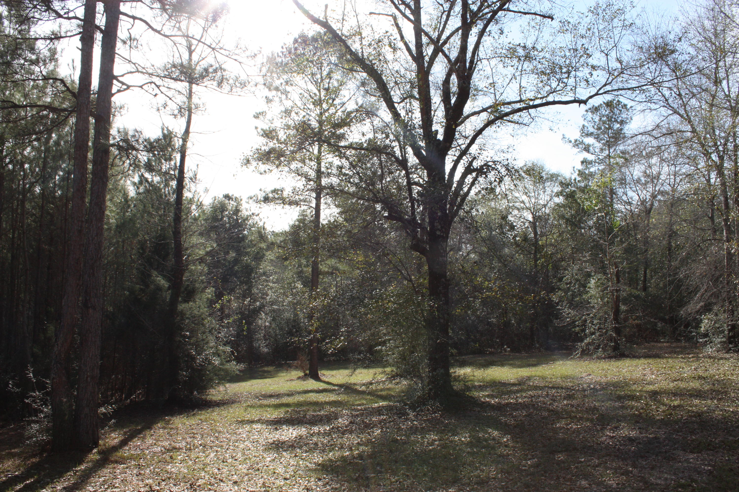 306 Steele Church Road DeFuniak Springs, FL 32435 - Photo 47 of 47 Property around pond