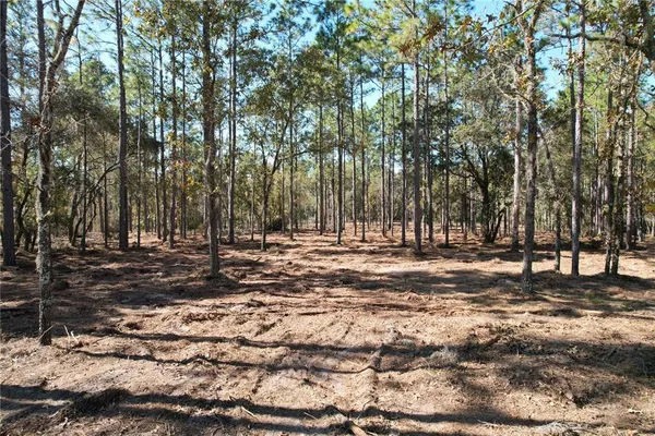 $133,000 | 93rd Terrace, Archer, FL 32618
