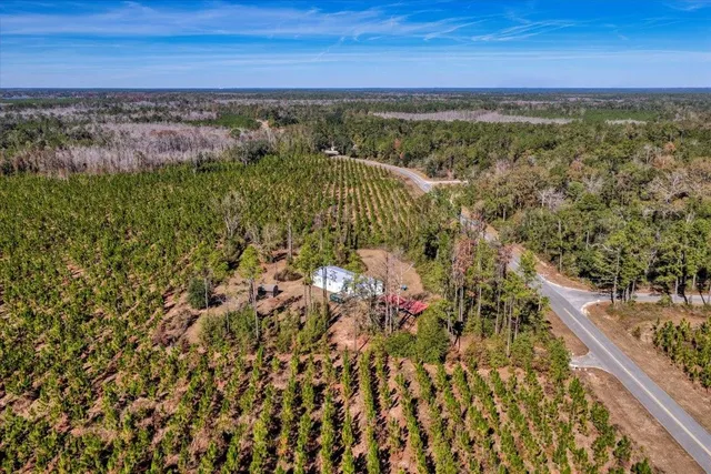 $219,000 | 8803 Northeast Rocky Ford Road, Madison, FL 32340