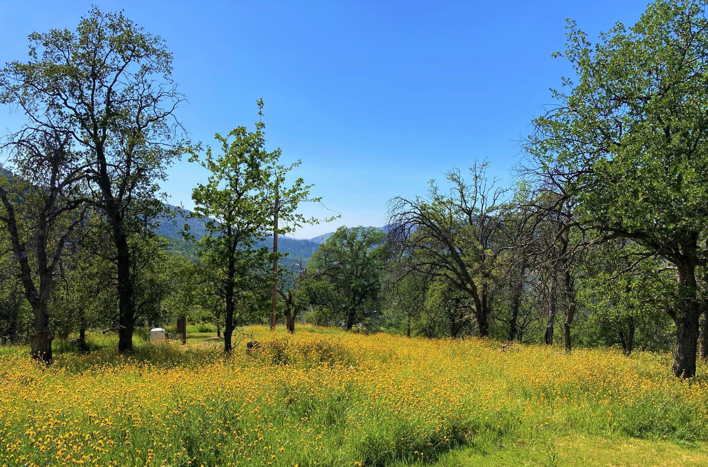 45517 Mineral King Road Three Rivers, CA 93271 - Photo 34 of 42 acreage