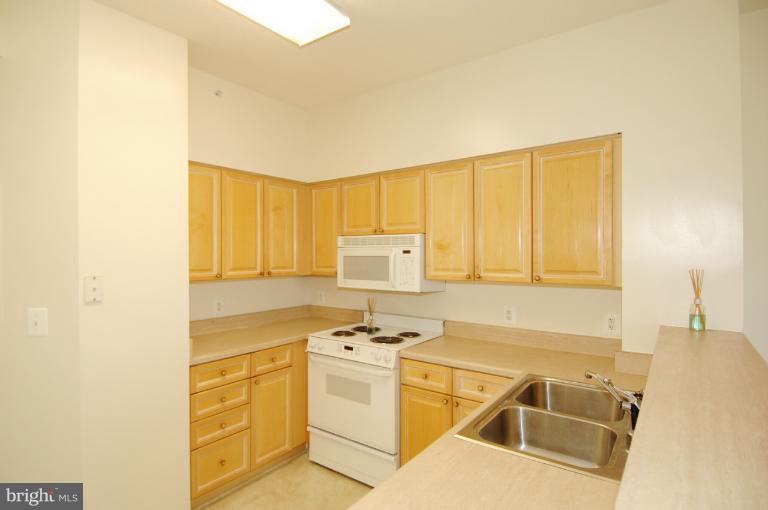 19375 Cypress Ridge Terrace, Unit 1007 Leesburg, VA 20176 - Photo 12 of 19 a kitchen with a stove a sink and a microwave