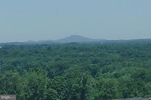 19375 Cypress Ridge Terrace, Unit 1007 Leesburg, VA 20176 - Photo 4 of 19 a view of a field of grass and trees