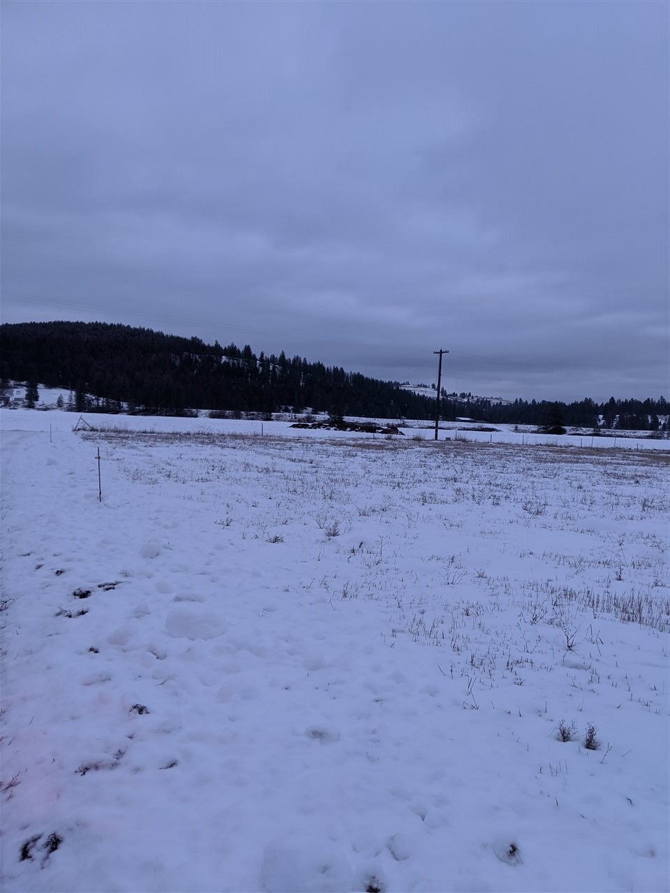 311 Aladdin Road Colville, WA 99114 - Photo 2 of 7