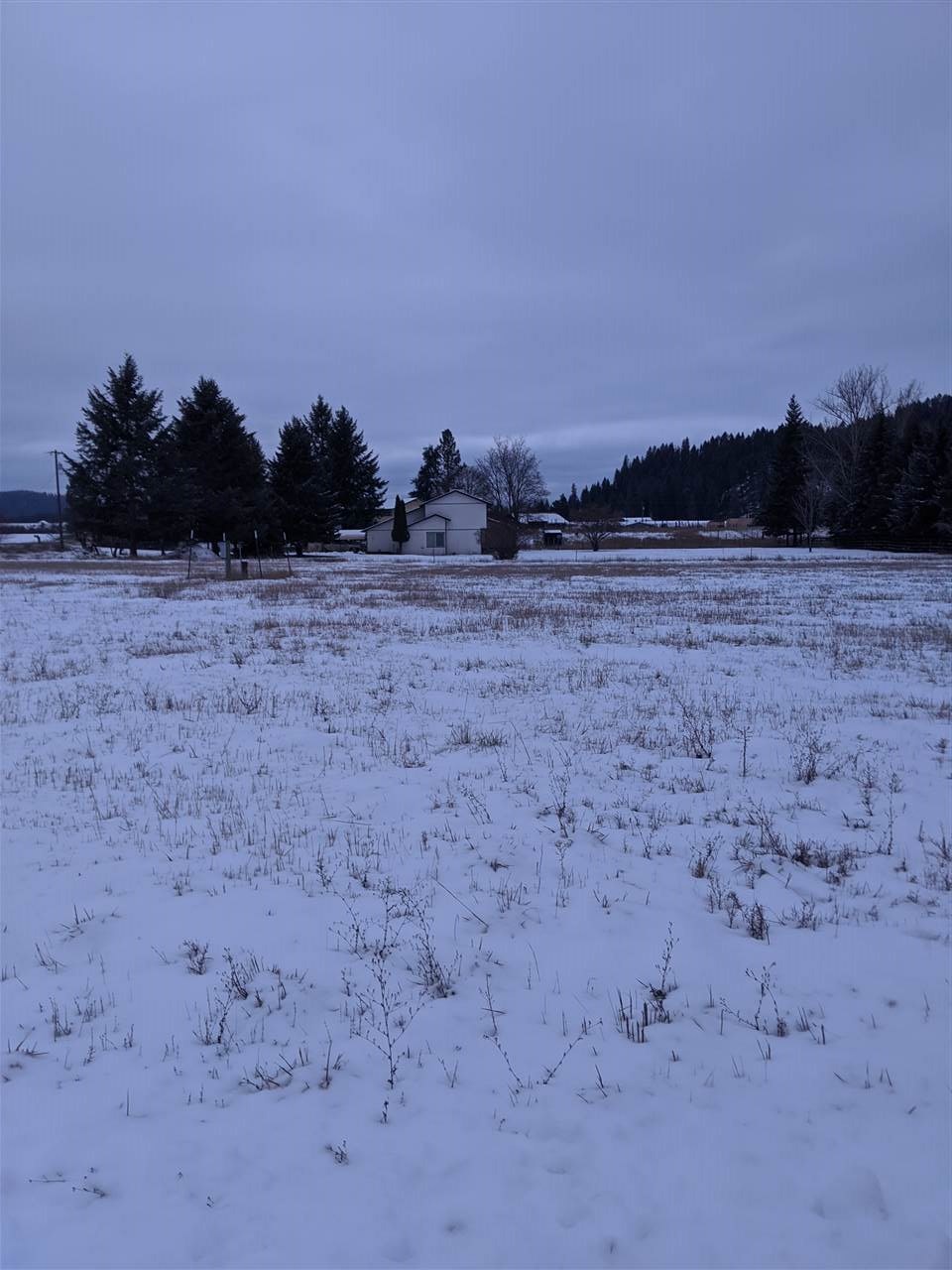 311 Aladdin Road Colville, WA 99114 - Photo 3 of 7