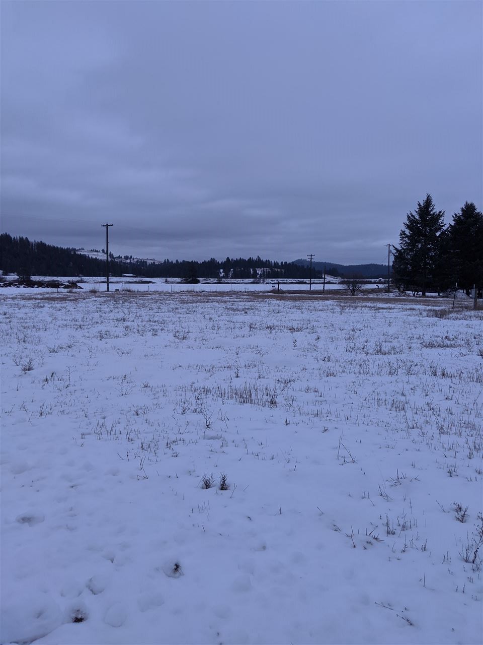311 Aladdin Road Colville, WA 99114 - Photo 4 of 7