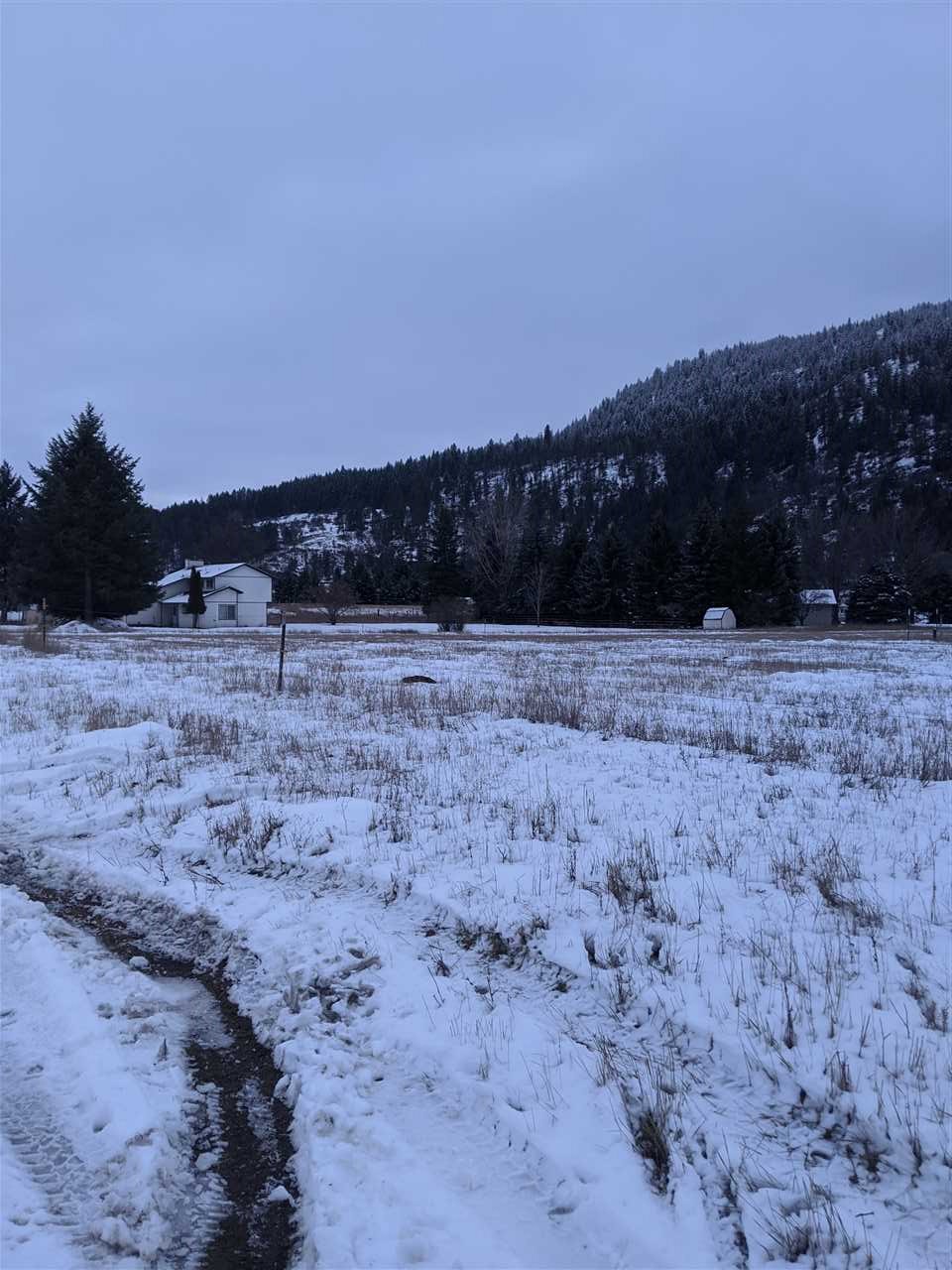 311 Aladdin Road Colville, WA 99114 - Photo 5 of 7