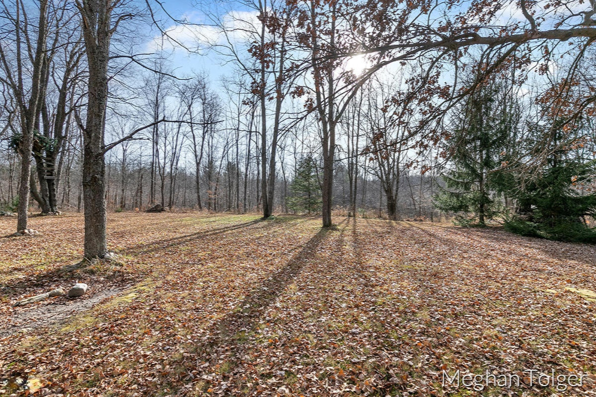 23633 10 Mile Road Reed City, MI 49677 - Photo 50 of 69 IMG_1067