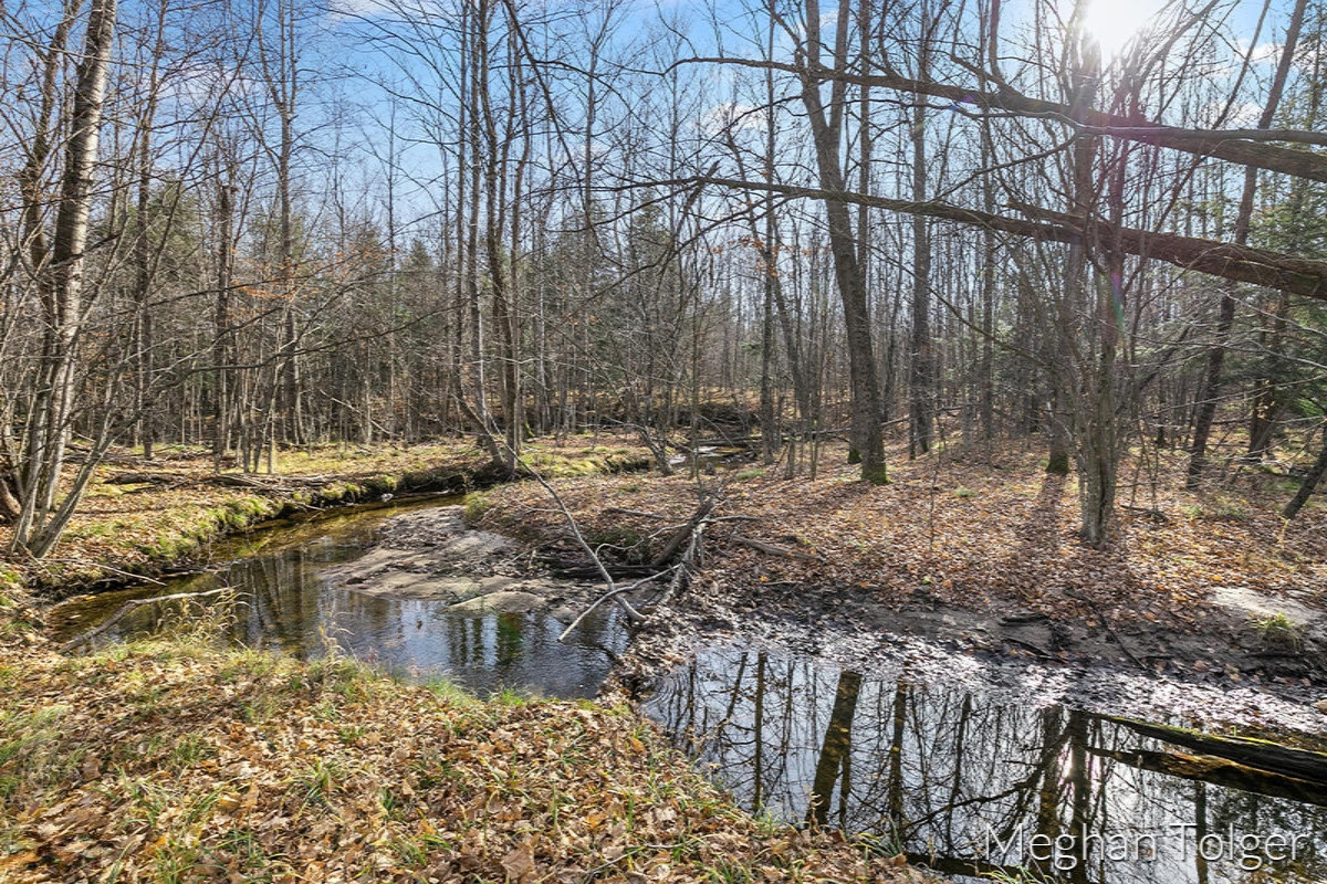 23633 10 Mile Road Reed City, MI 49677 - Photo 58 of 69 IMG_1061