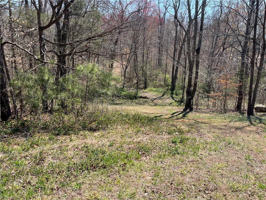188 Carters Ridge Road Advance, NC 27006 - Photo 2 of 8 Gallery Image 2