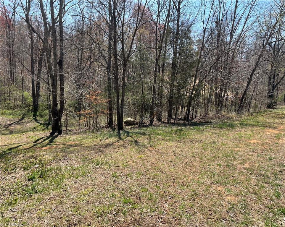 188 Carters Ridge Road Advance, NC 27006 - Photo 3 of 8 Gallery Image 3