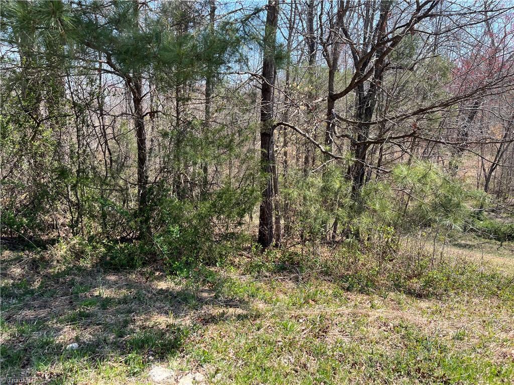 188 Carters Ridge Road Advance, NC 27006 - Photo 4 of 8 Gallery Image 4