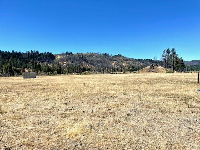 10001 Ruth-zenia Road Zenia, CA 95595 - Photo 18 of 39