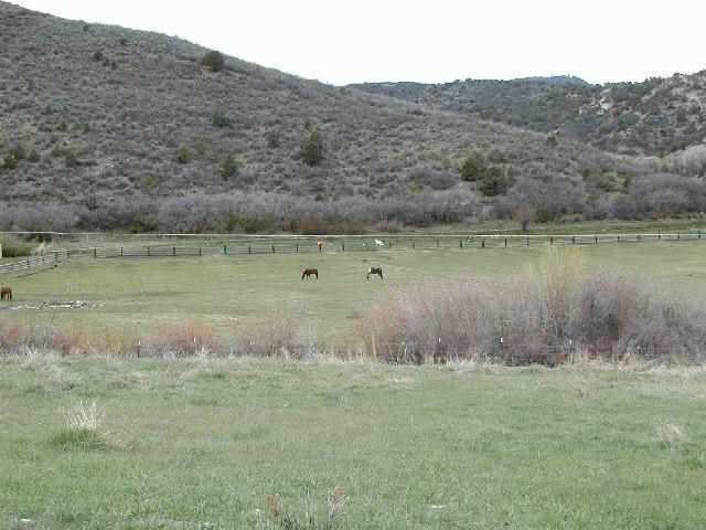 1331 East Sopris Creek Road, Unit ROAD Basalt, CO 81621 - Photo 8 of 9 Additional Photo