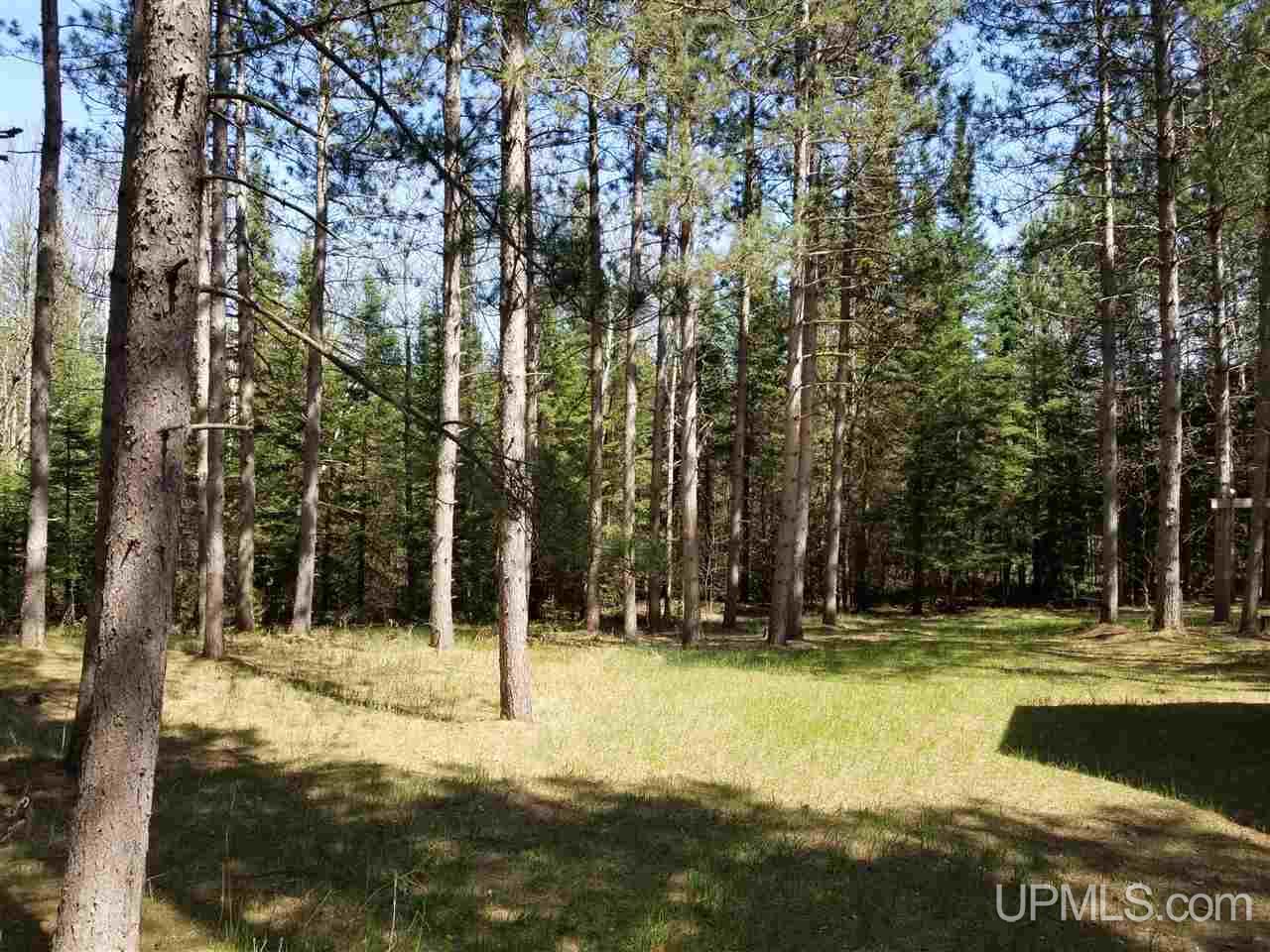 Tbd South Menominee Co Line Road Bark River, MI 49807 - Photo 12 of 13