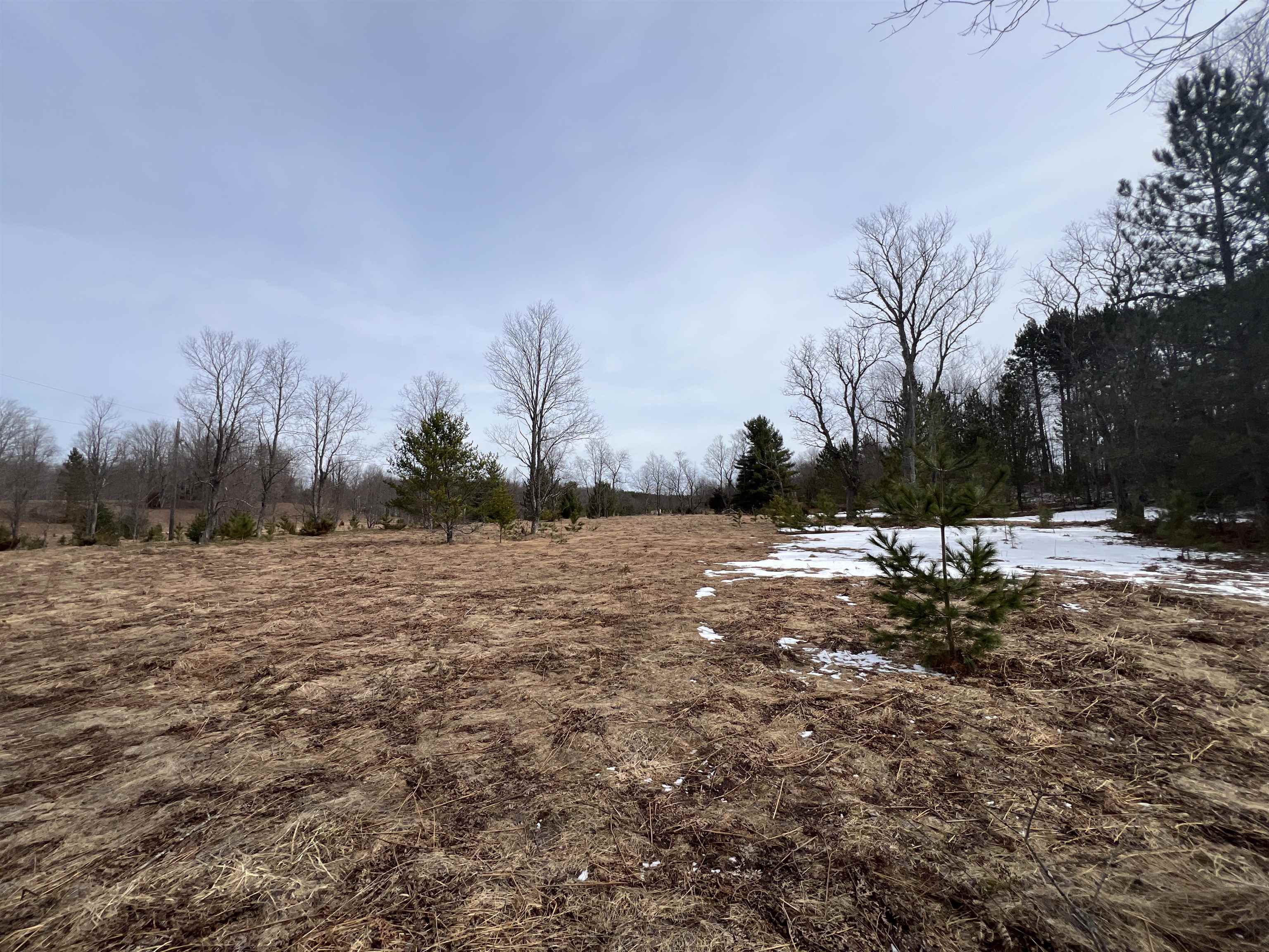 3716 Luce Road South Boardman, MI 49680 - Photo 3 of 9