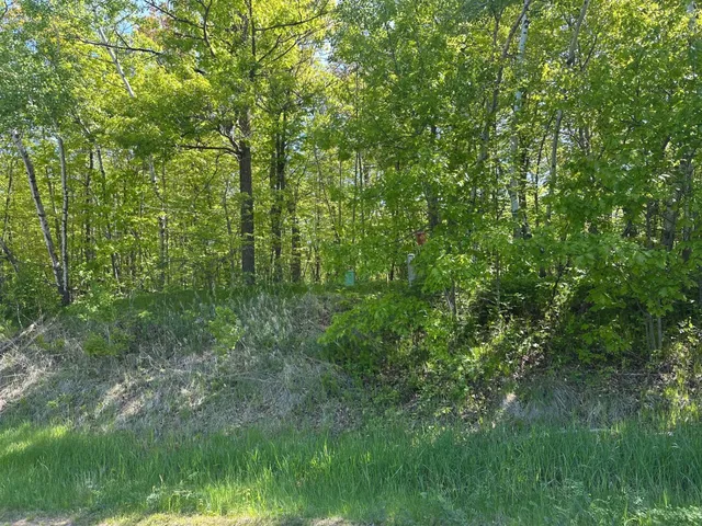 $59,900 | Tbd Lot 12 Tbd Lane, Onamia, MN 56359