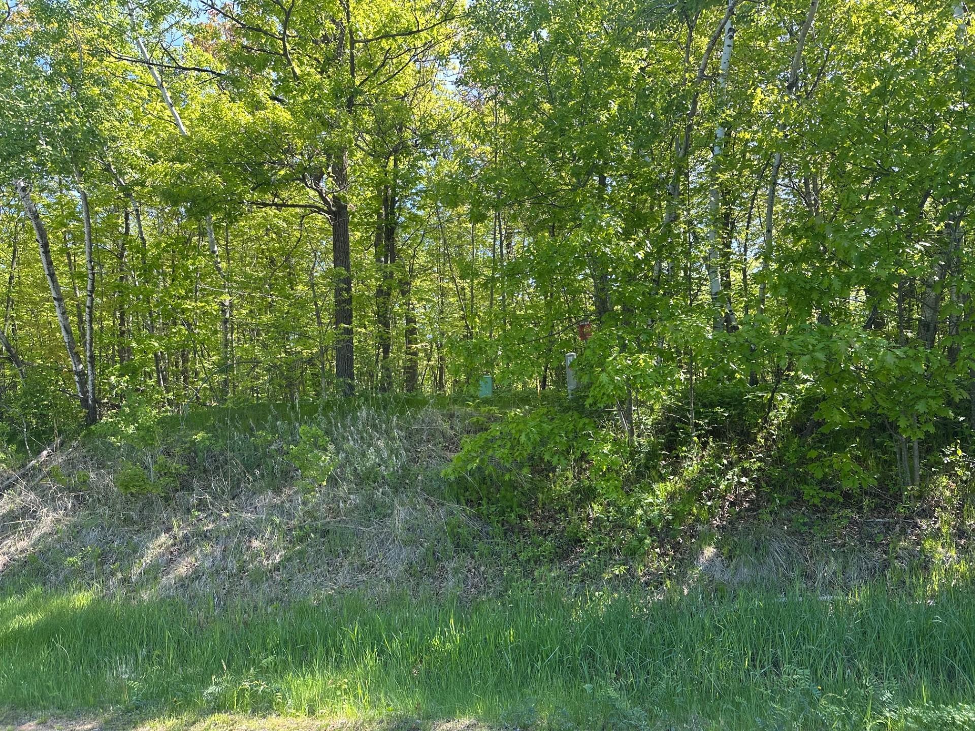 Tbd Lot 12 Tbd Lane Onamia, MN 56359 - Photo 2 of 4