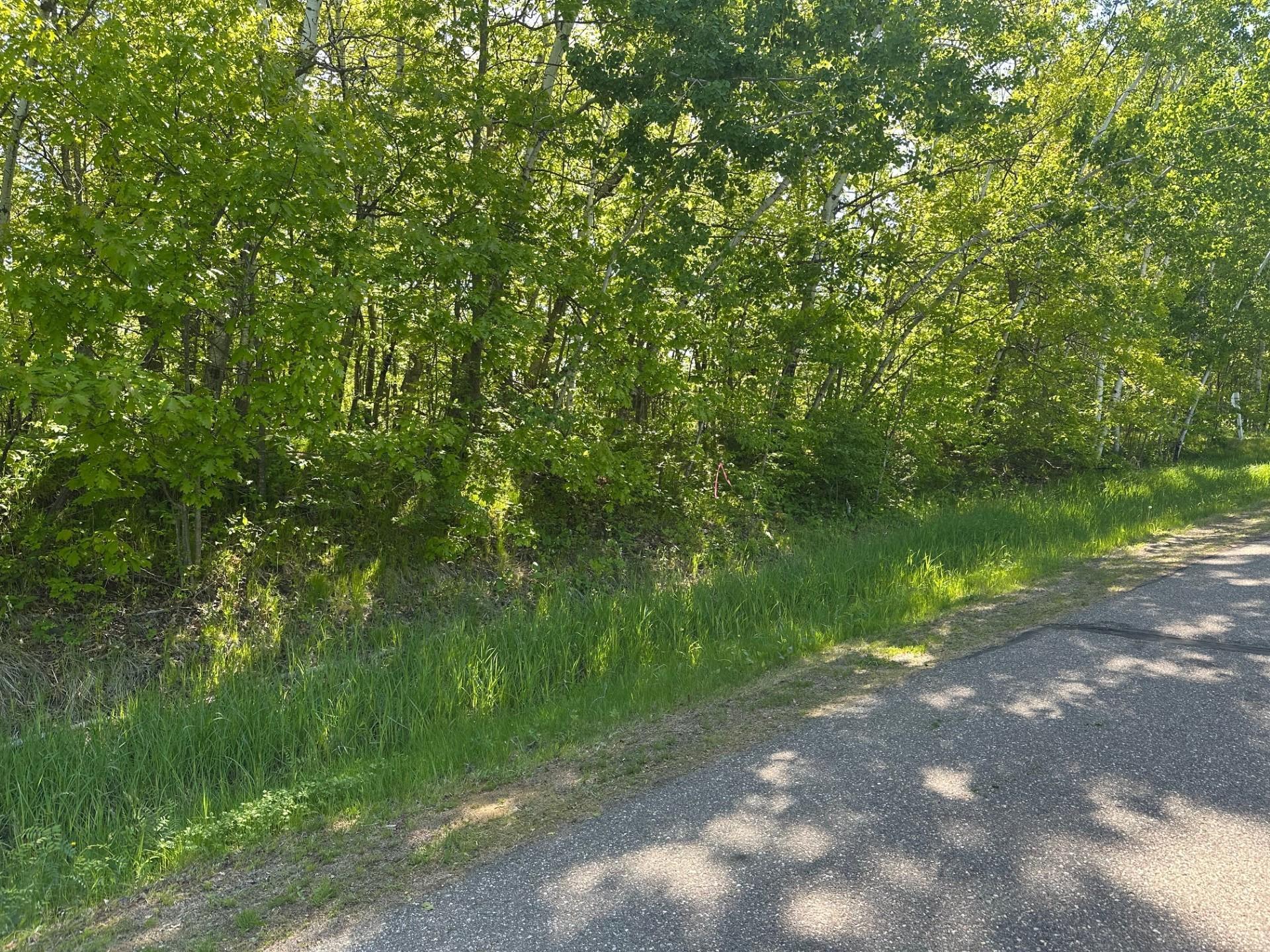 Tbd Lot 12 Tbd Lane Onamia, MN 56359 - Photo 3 of 4