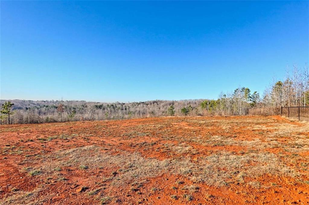 995 Dortch Road Eastanollee, GA 30538 - Photo 3 of 55