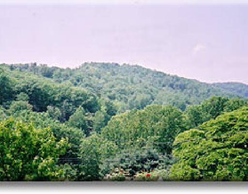 5802 Brahma Road Roanoke, VA 24018 - Photo 3 of 4 Listing Photo