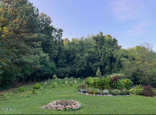 235 Shipley Ferry Road Blountville, TN 37617 - Photo 26 of 27 Spring