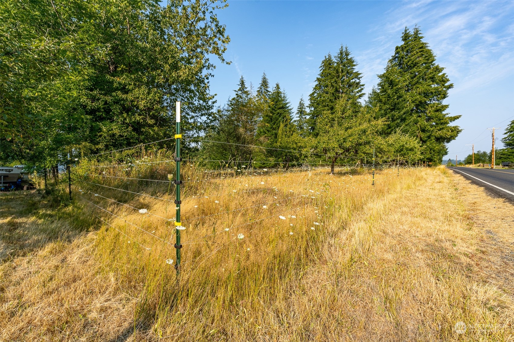429 Burchett Road Onalaska, WA 98570 - Photo 22 of 40 Gallery Image 22