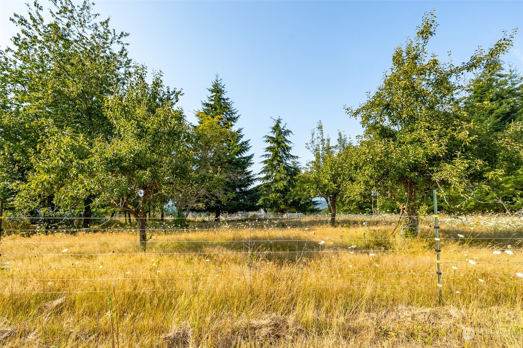 429 Burchett Road Onalaska, WA 98570 - Photo 23 of 40 Gallery Image 23