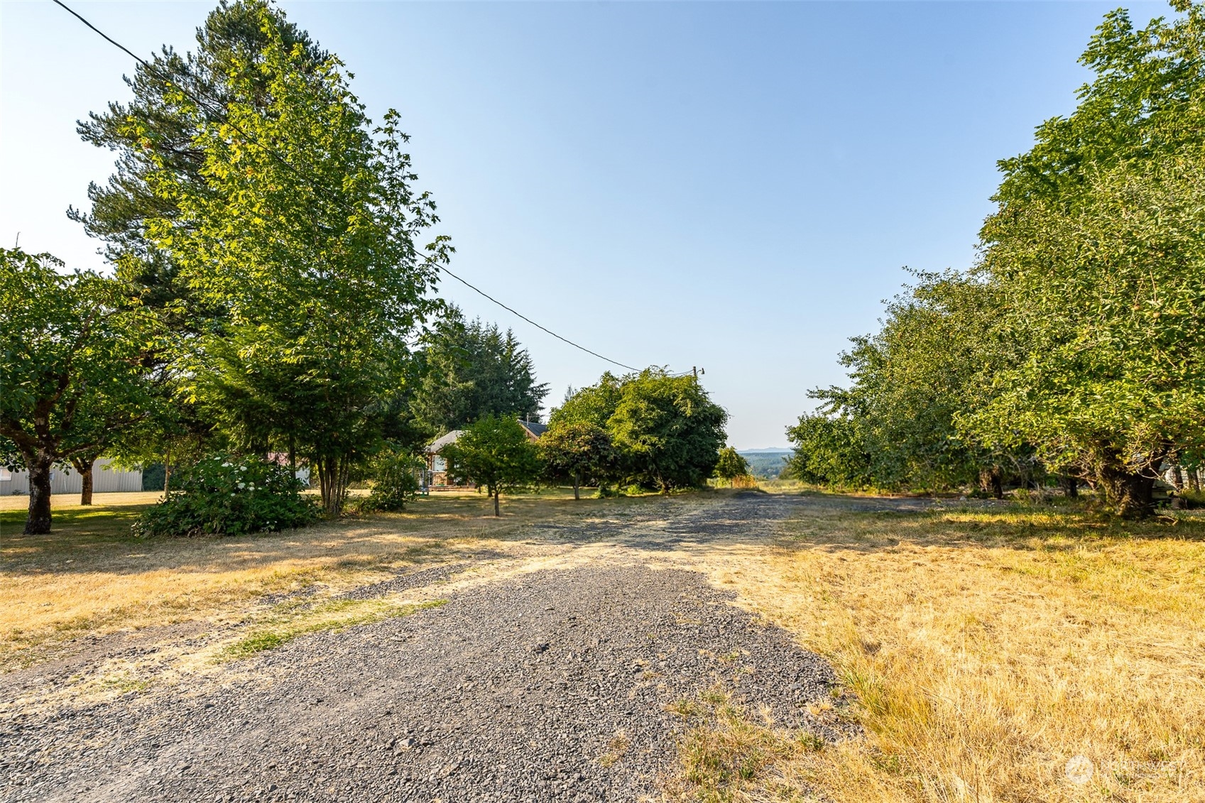 429 Burchett Road Onalaska, WA 98570 - Photo 24 of 40 Gallery Image 24