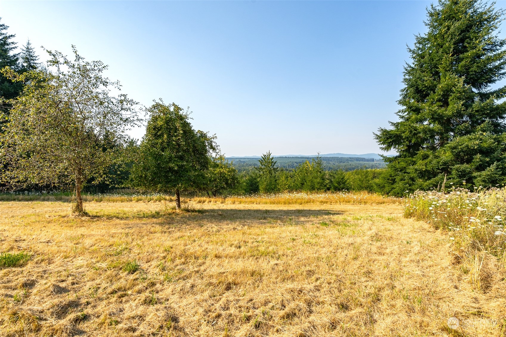 429 Burchett Road Onalaska, WA 98570 - Photo 26 of 40 Gallery Image 26