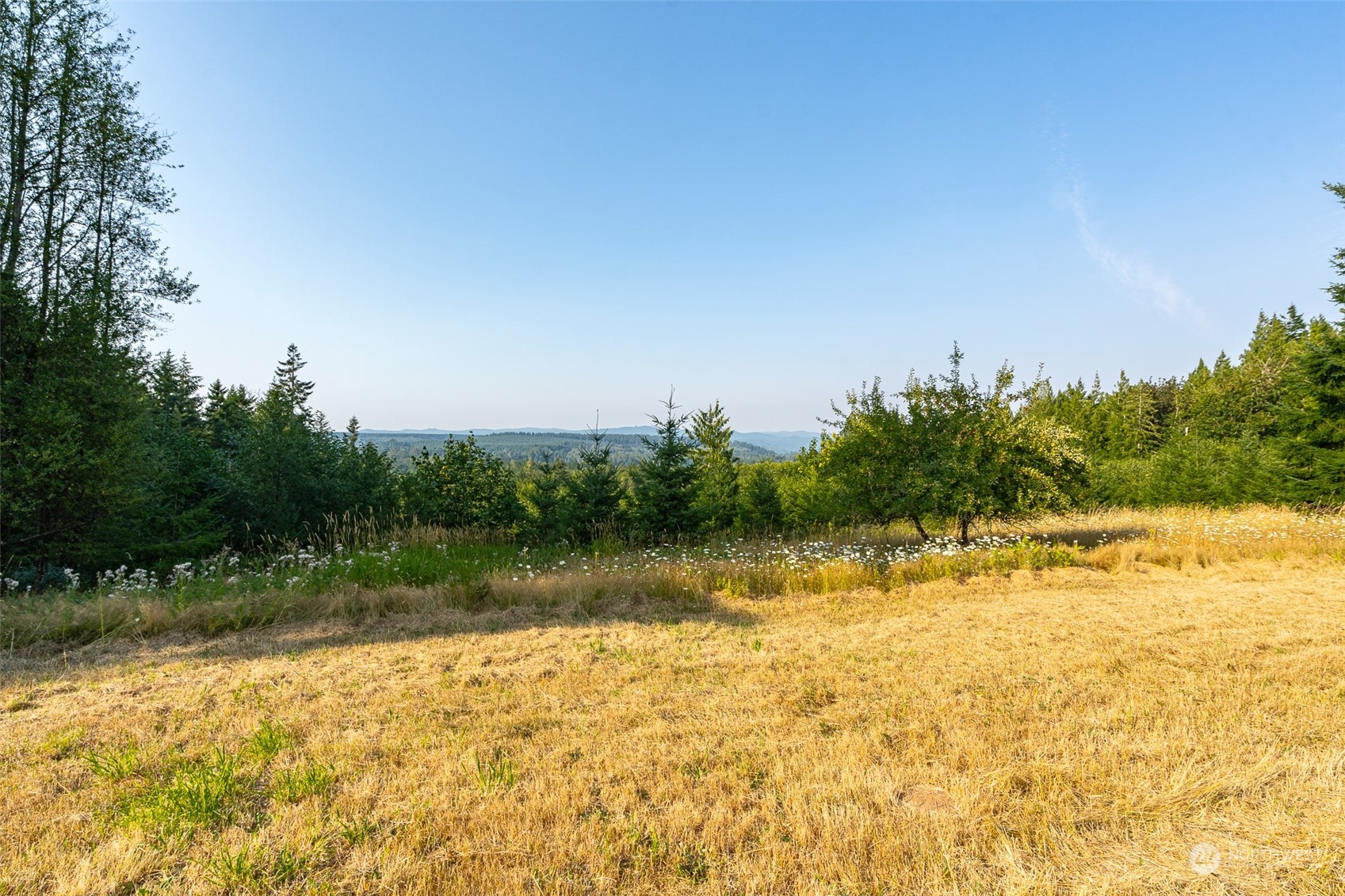 429 Burchett Road Onalaska, WA 98570 - Photo 27 of 40 Gallery Image 27