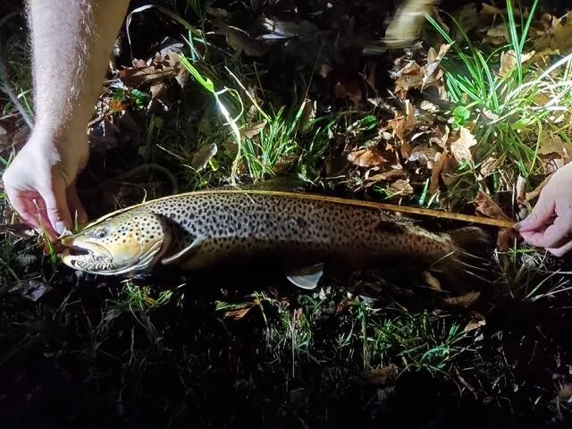 $940,000 | 1977 East 40th Street, White Cloud, MI 49349