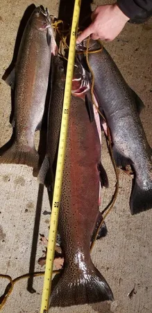 $940,000 | 1977 East 40th Street, White Cloud, MI 49349