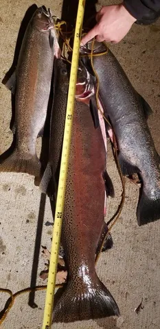 $940,000 | 1977 East 40th Street, White Cloud, MI 49349