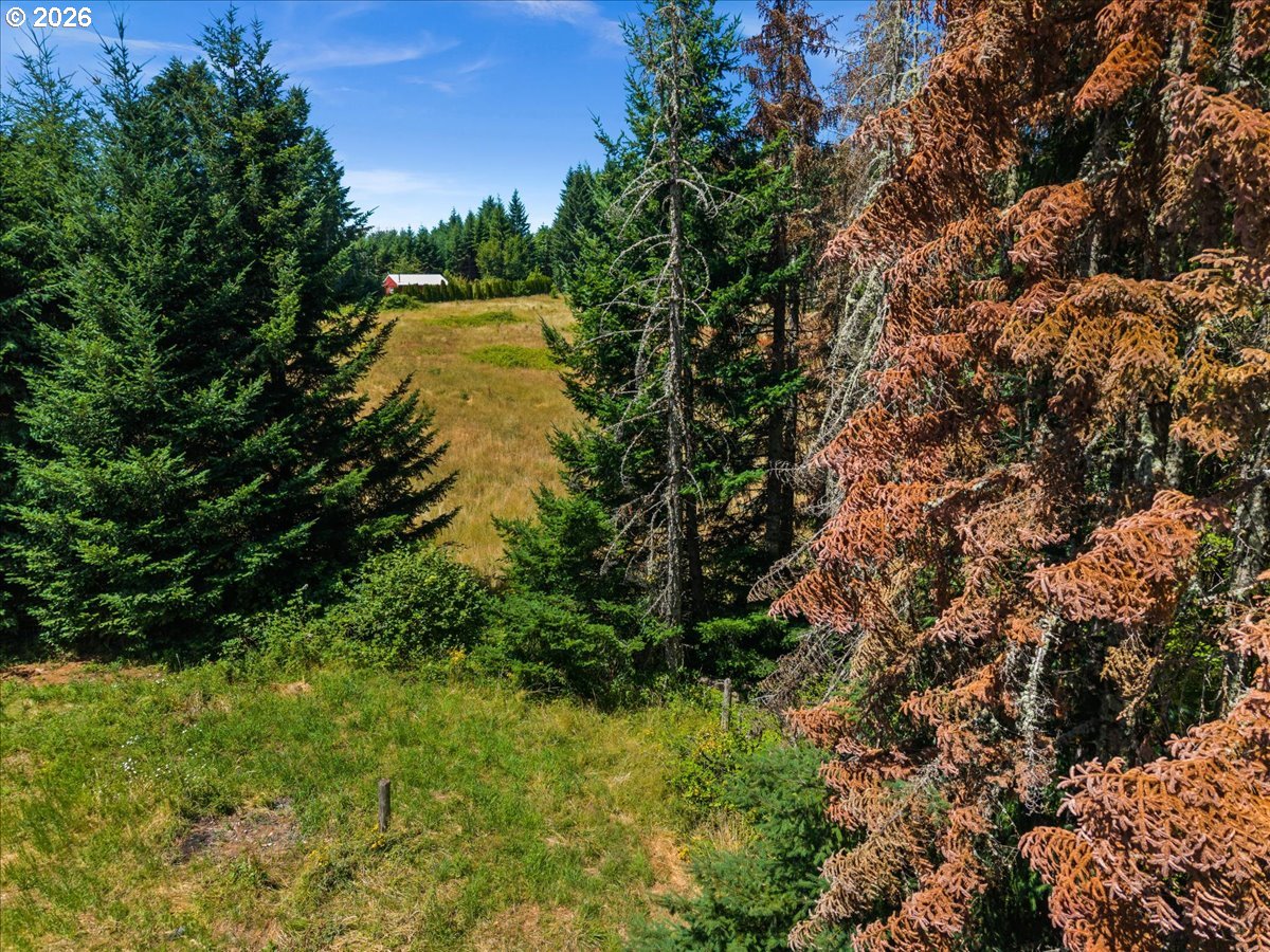 20802 Northwest Pumpkin Ridge Road North Plains, OR 97133 - Photo 9 of 18