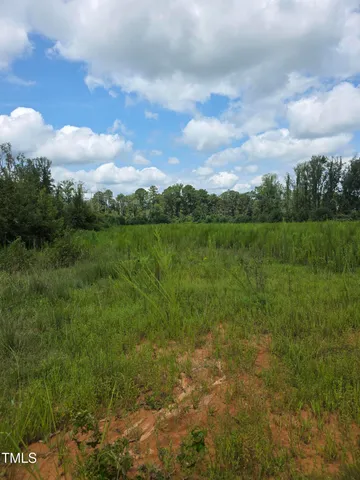 a view of a lush green outdoor space with a lake view and mountain view