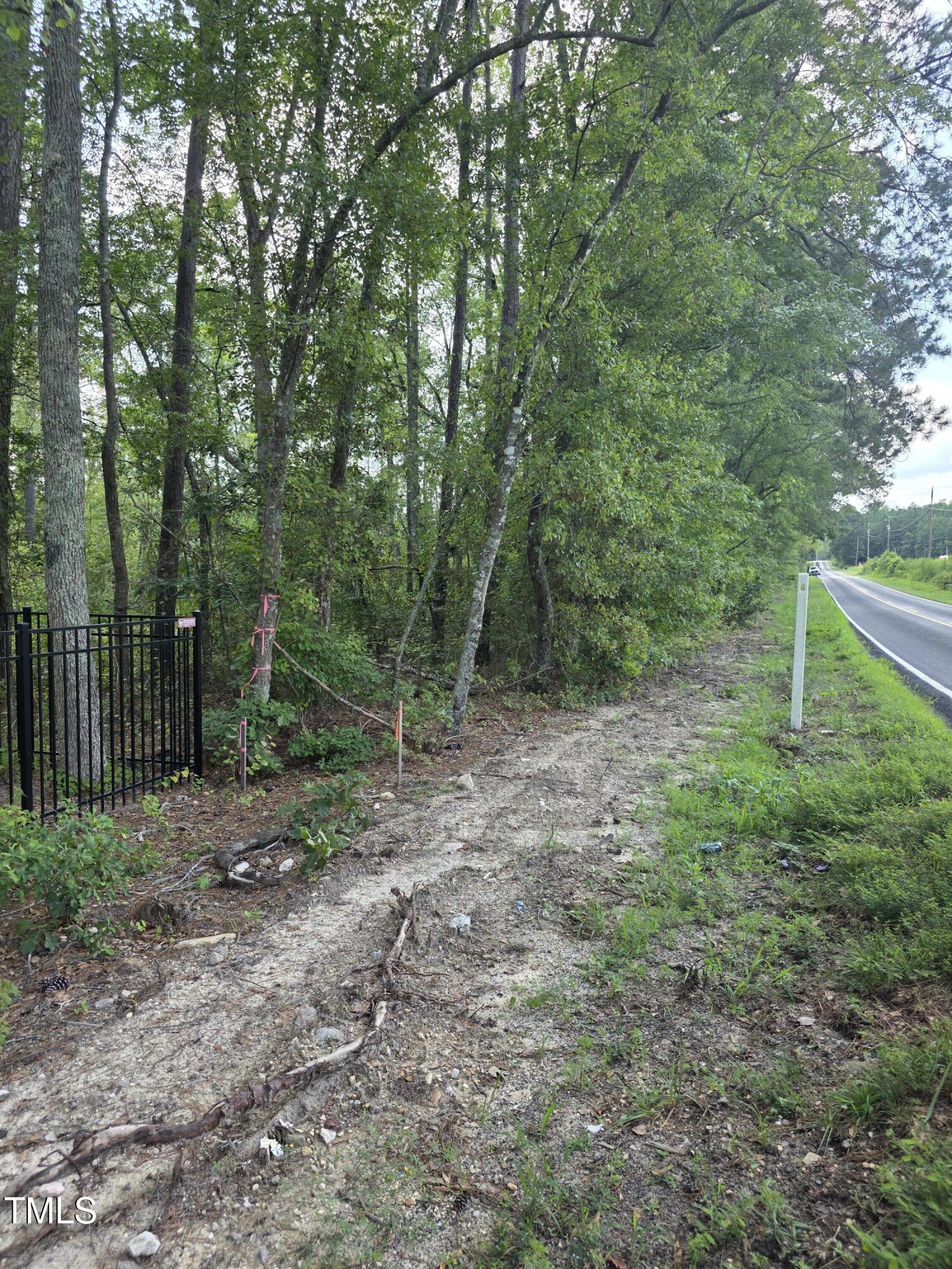 0 Dukes Lake Road Zebulon, NC 27597 - Photo 11 of 11 a view of a forest with trees in the background