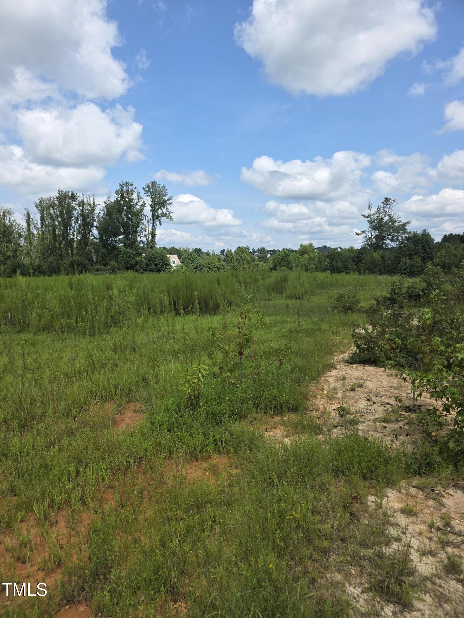 0 Dukes Lake Road Zebulon, NC 27597 - Photo 2 of 11 a view of a lake with a city