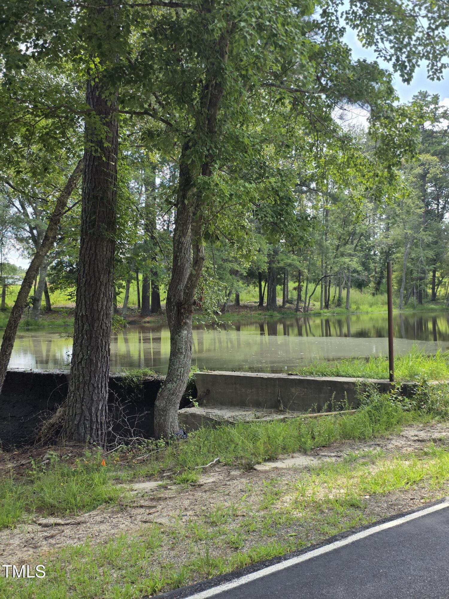 0 Dukes Lake Road Zebulon, NC 27597 - Photo 5 of 11 a view of a yard