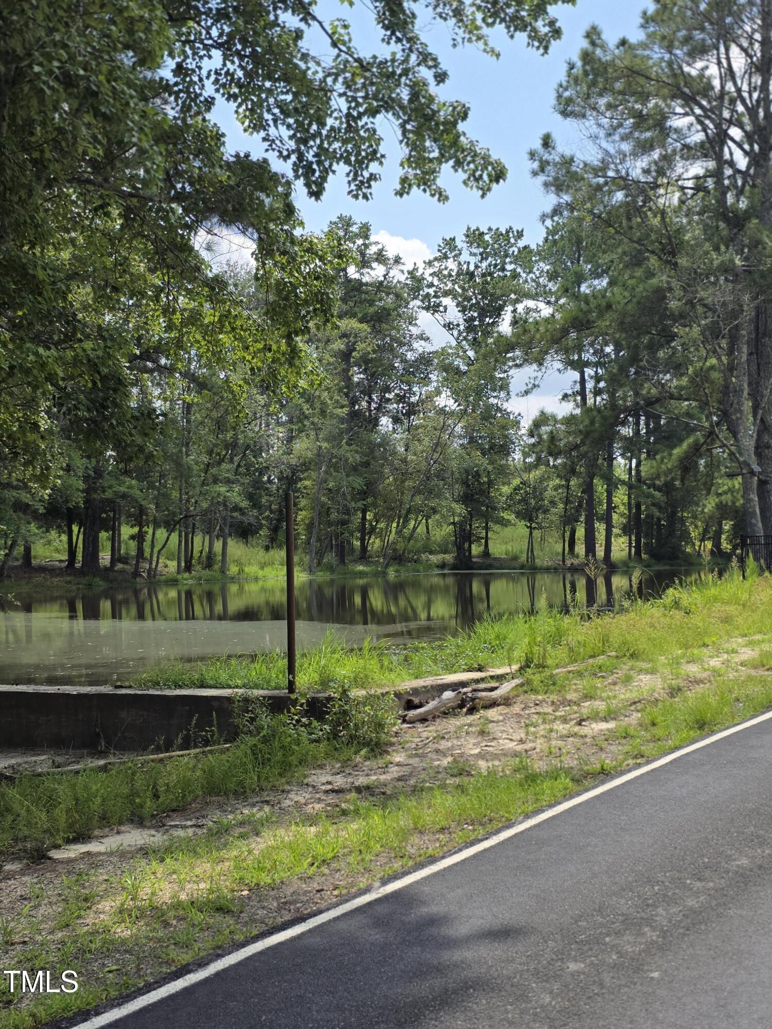0 Dukes Lake Road Zebulon, NC 27597 - Photo 6 of 11 a view of a park